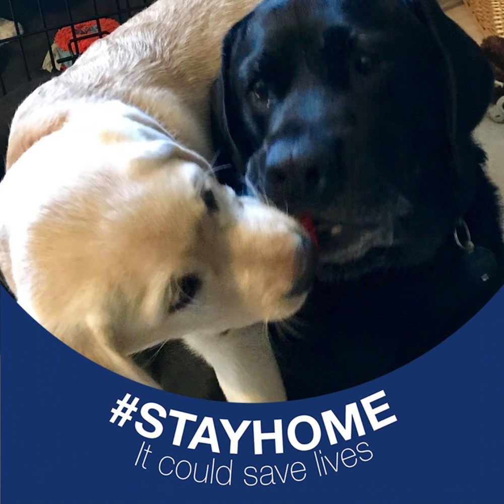 Meet your Posher, Patti